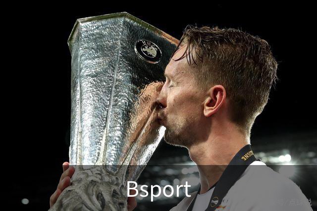 Bsport 公司简介